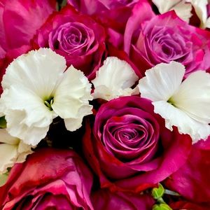 Meet your Posher, Jasmine